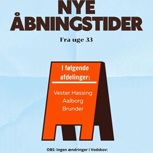 Opslagsbillede
