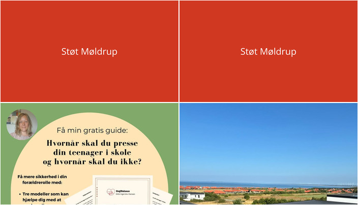 Nyt fra Ung i Balance og Møldrup Tagdækning ApS