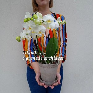 Opslagsbillede