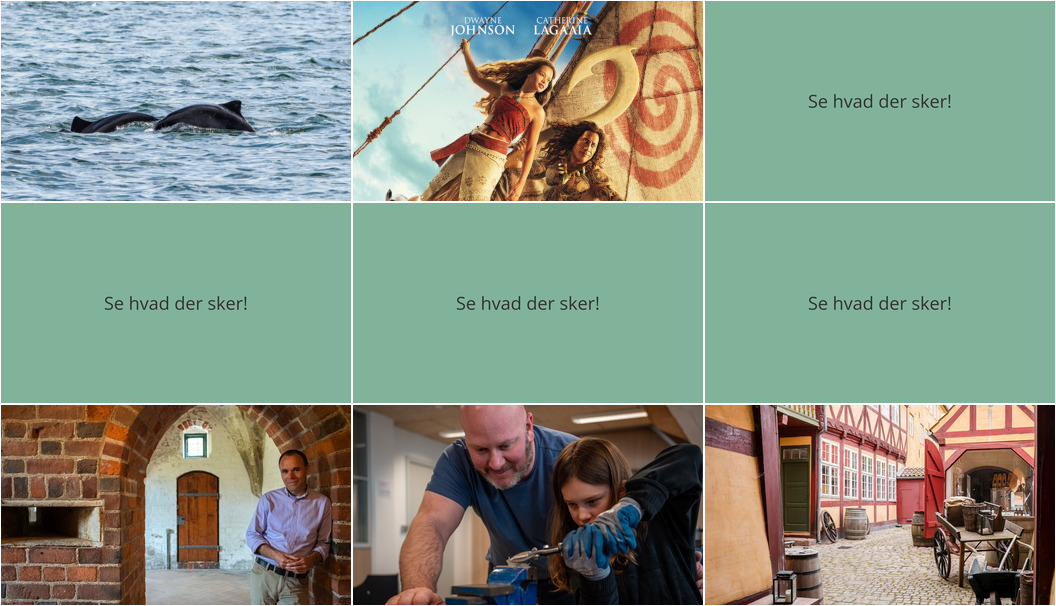 Oplev Helsingør denne weekend: Fra marsvinesafari til middelalderlige klostre