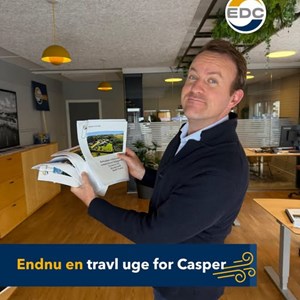 Opslagsbillede