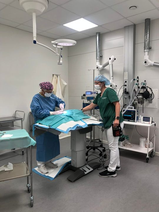 Opslagstavlen: Nyeste opdateringer fra Herning