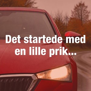 Opslagsbillede