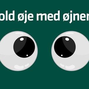 Opslagsbillede