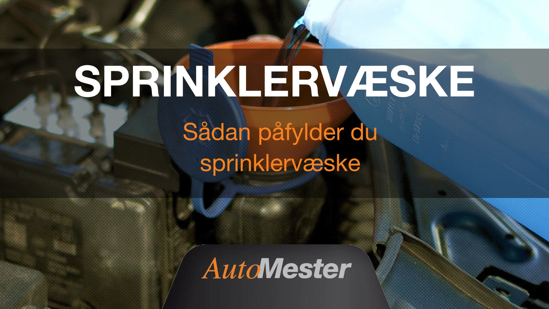 GUMMI-OLE guider til nemt tjek og påfyldning af sprinklervæske i din bil