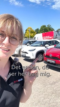 Opslagsbillede