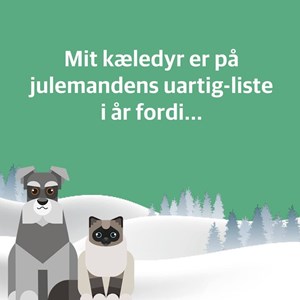 Opslagsbillede