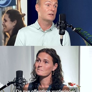 Opslagsbillede