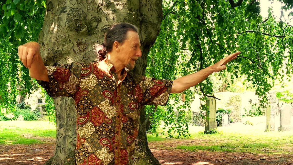 Oplev Qi Gong og Tai Chi i Vanløse: En rejse mod indre ro og styrke