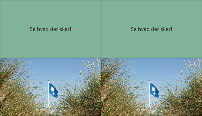 Udforsk naturen i Ulfborg denne weekend med Blå Flag arrangementer