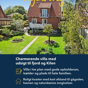 Opslagsbillede