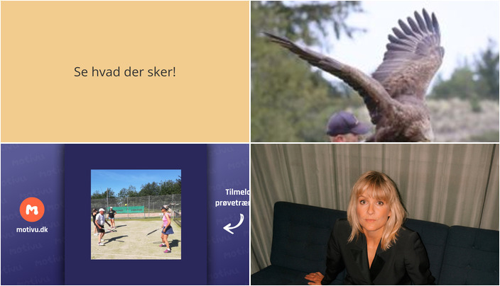 Oplev spændende aktiviteter i Bindslev - Ørneforevisning, tennistræning og koncertmiddag