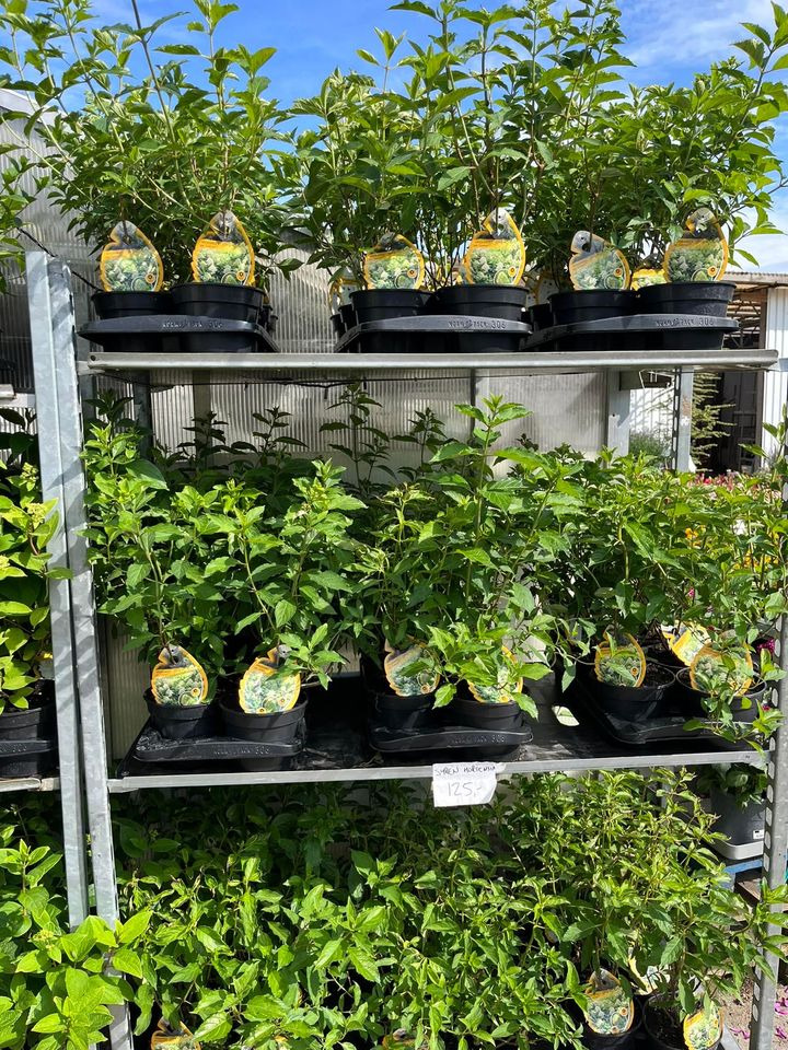 Hold dig ajour med dagens opdateringer fra Horsens