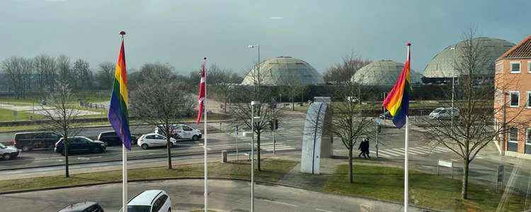 Randers markerer mangfoldighed med flag og lys