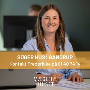 Opslagsbillede