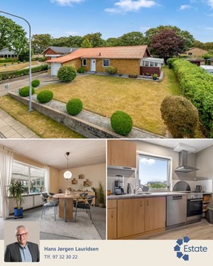 opslagsbillede