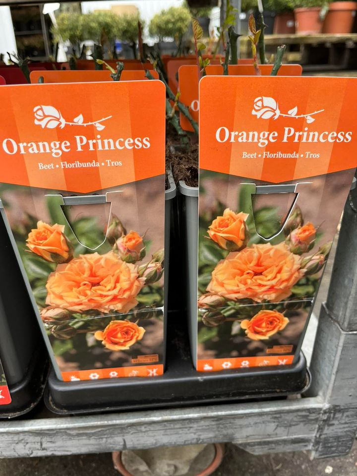 Opslagstavlen: Nyeste opdateringer fra Horsens