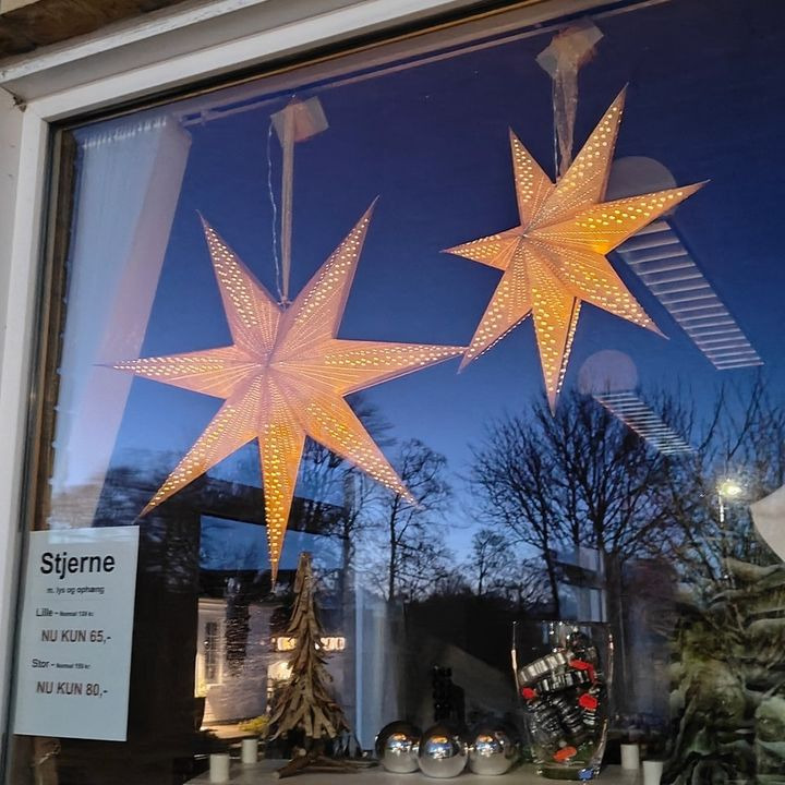 Elins Butik tilbyder smukke julestjerner med glitrende detaljer