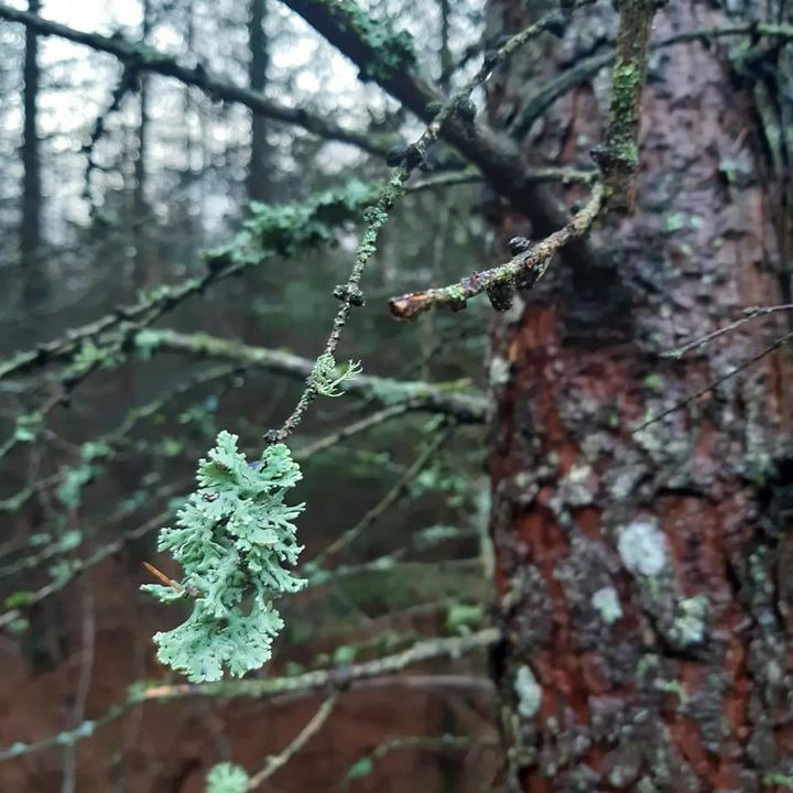 Det nyeste på Hammels opslagstavle