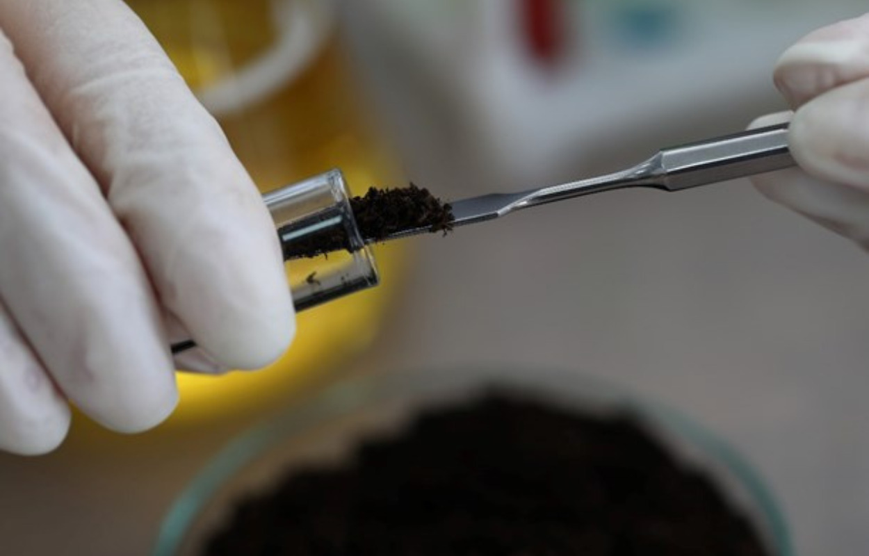 Gammel forurening ved Dyrehavegårdsvej skal undersøges