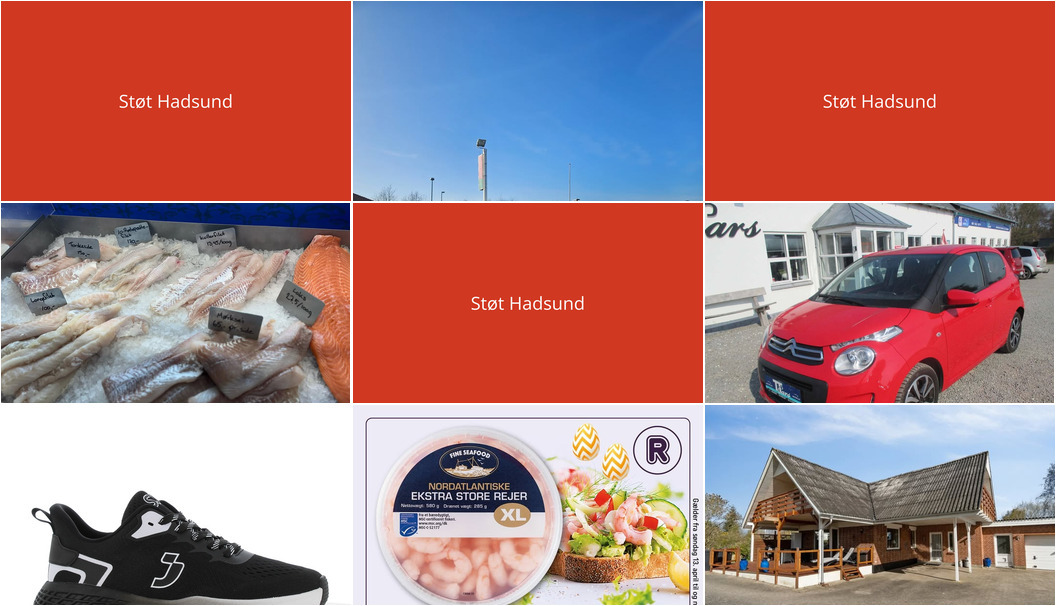 Nyt fra Nybolig Hadsund, Oscar Biludlejning, Havnens Fisk Øster Hurup og 3 andre