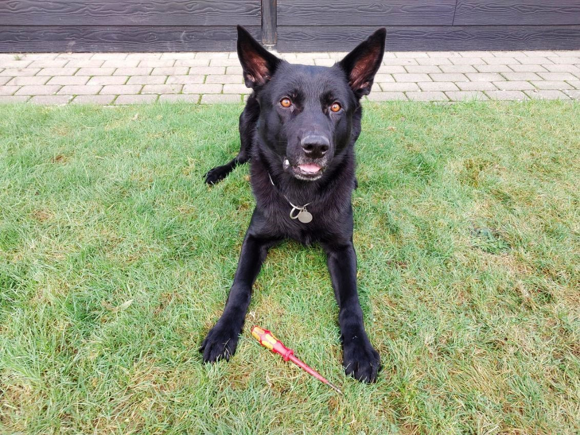 Færre borgere havde indbrud hen over denne jul og nytår