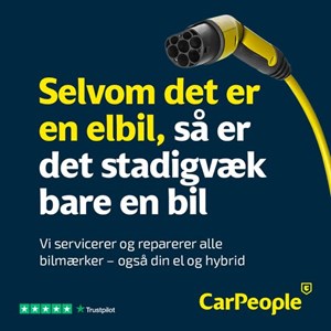 opslagsbillede