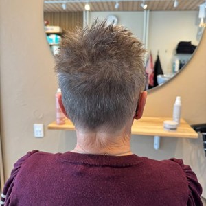 Opslagsbillede