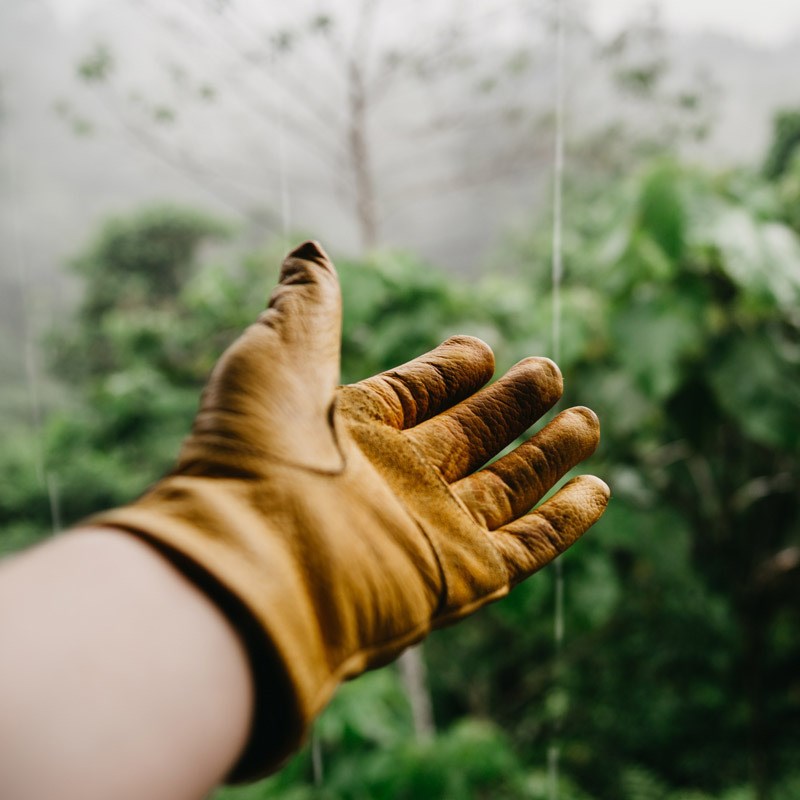 Thorkils Haveservice Aalborg