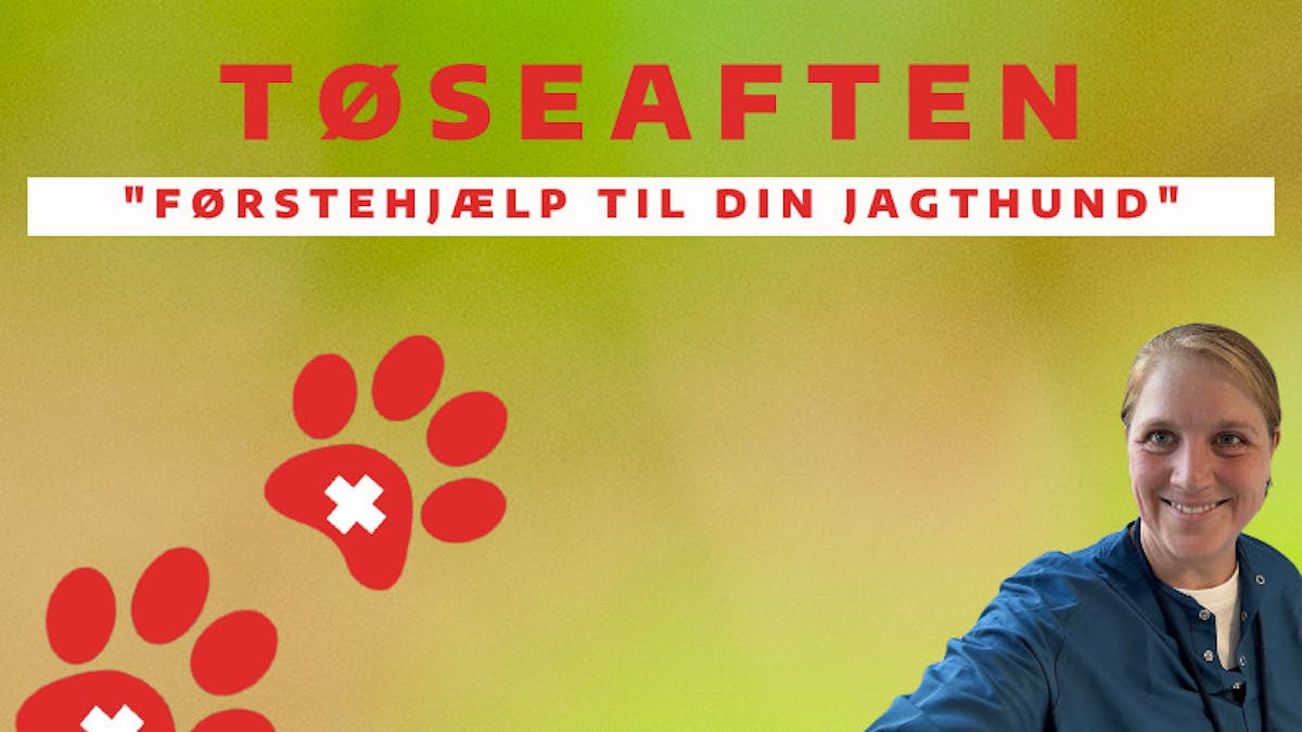 Lær førstehjælp til jagthunde med dyrlæge Jeanette Lundbech