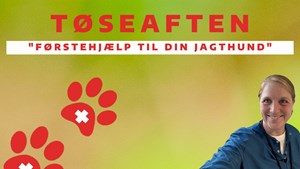 Lær førstehjælp til jagthunde med dyrlæge Jeanette Lundbech