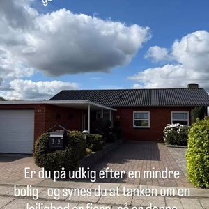 Opslagsbillede