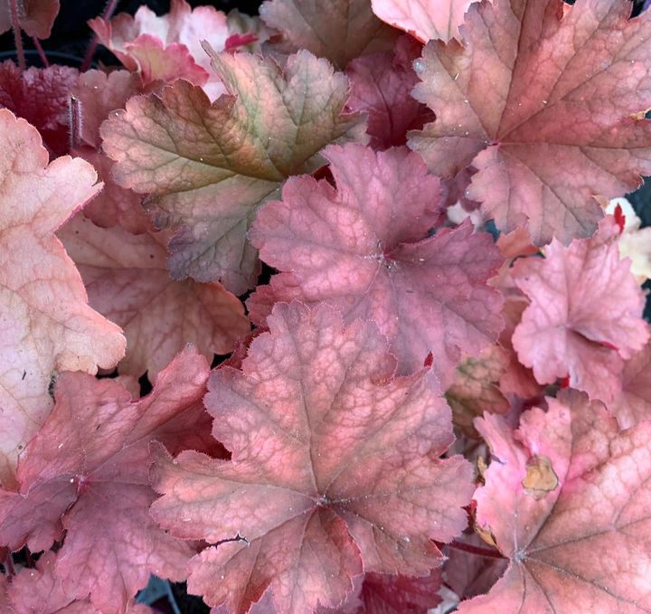 Hold dig ajour med dagens opdateringer fra Brønderslev
