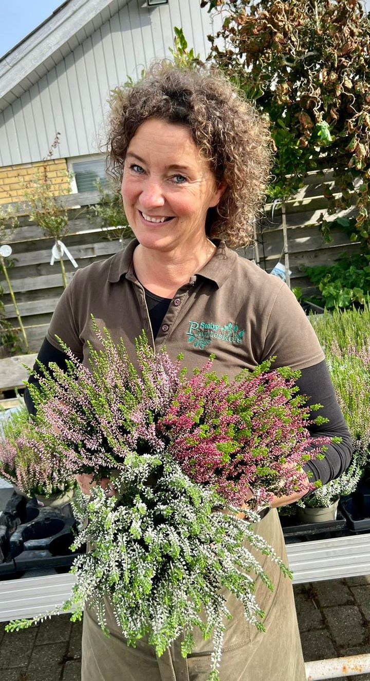 Nyt på opslagstavlen i Sæby