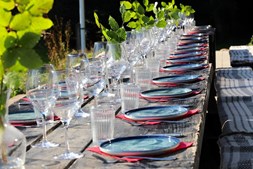 Oplev "Sank og Æd" i Brønshøj: En aften med natur, madlavning og fællesskab