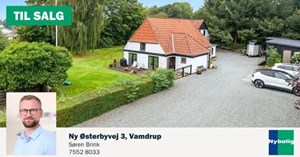 opslagsbillede