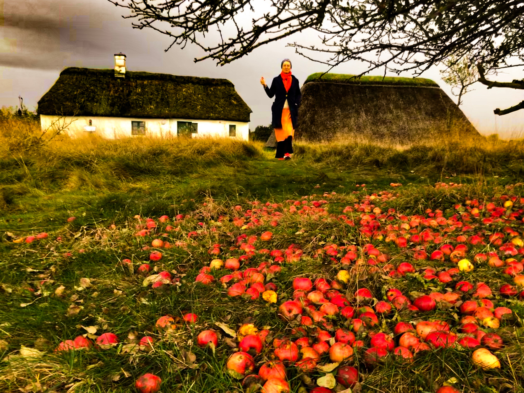 Koncertforedrag: Stemmer i Voks på Hadsten Bibliotek