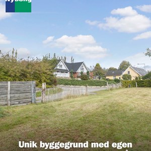 Opslagsbillede