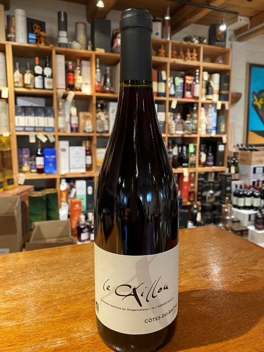 En finger på pulsen i Skive