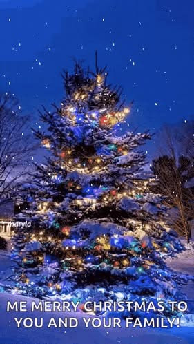 Kylling & Co Nykøbing ønsker god jul og glæder sig til at se jer igen efter juleferien