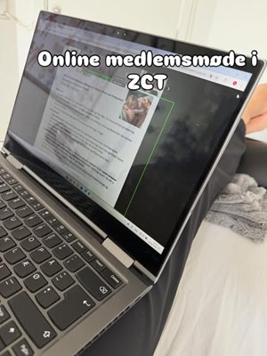 opslagsbillede