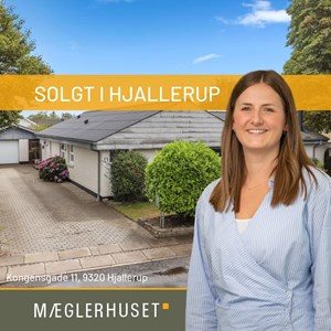 Opslagsbillede