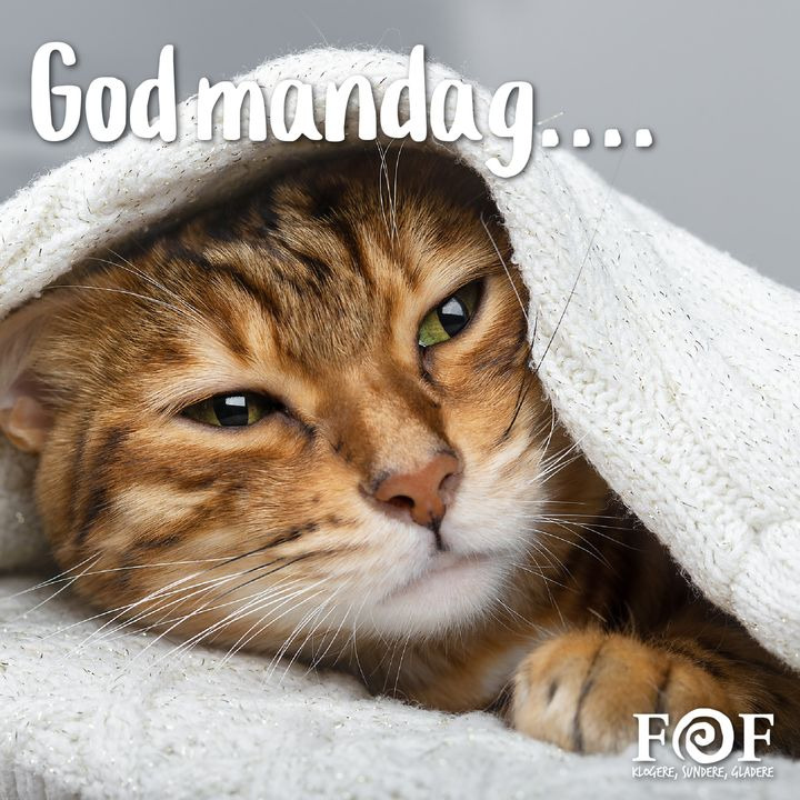 Se dagens updates fra Billund her