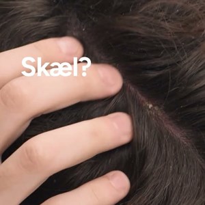 Opslagsbillede