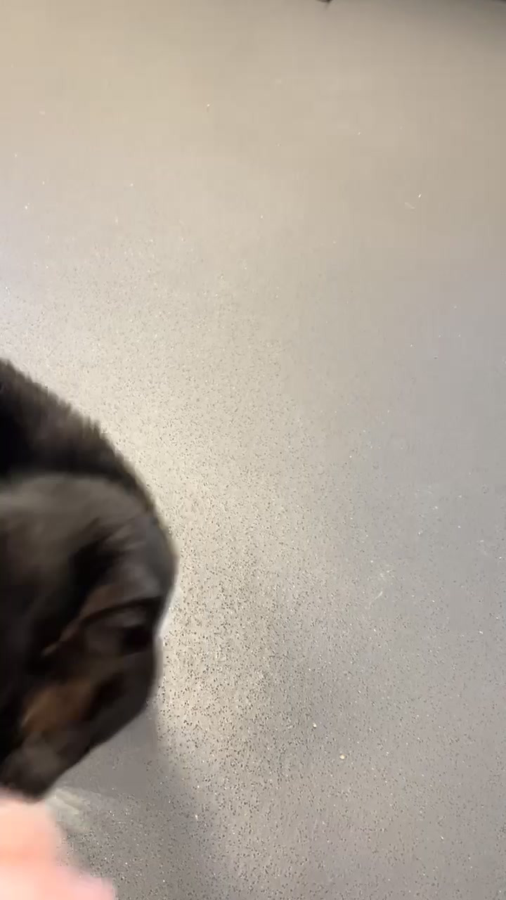 En finger på pulsen i Risskov