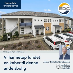 Opslagsbillede