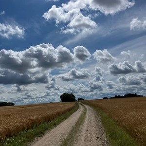 Opslagsbillede