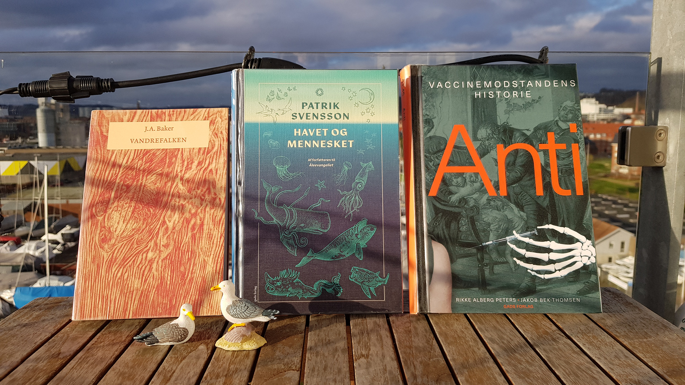 Faglitterær læseklub på Vejle Bibliotek: Forårets litterære eventyr