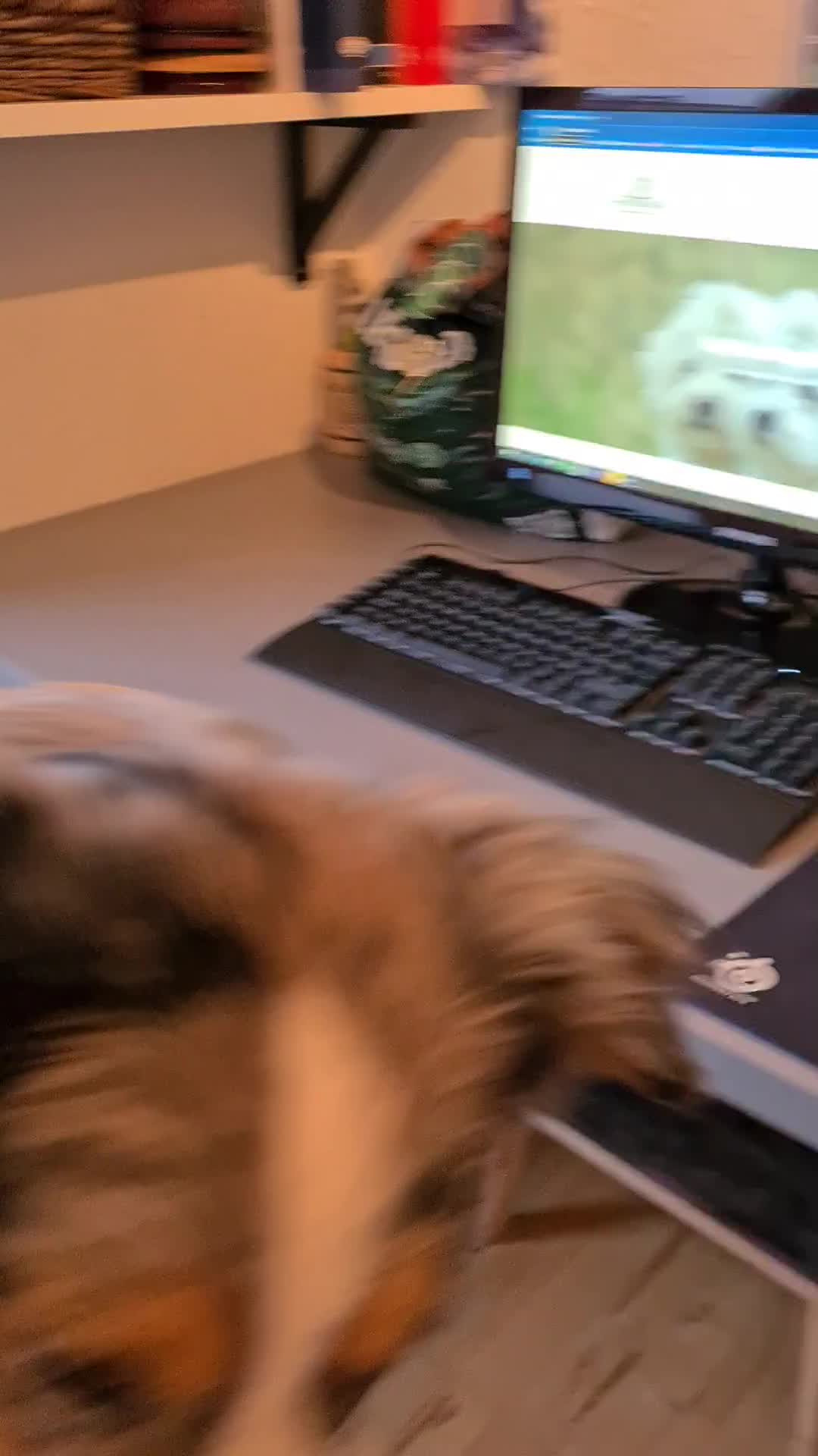 En finger på pulsen i Sæby