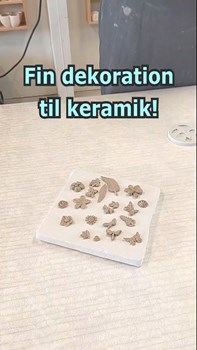 Opslagsbillede